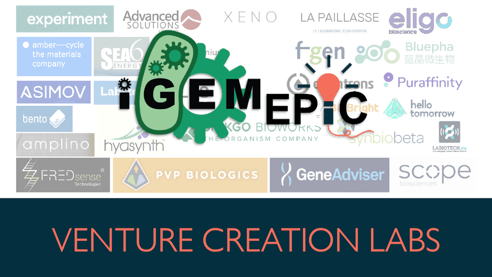 iGEM EPIC VCL
